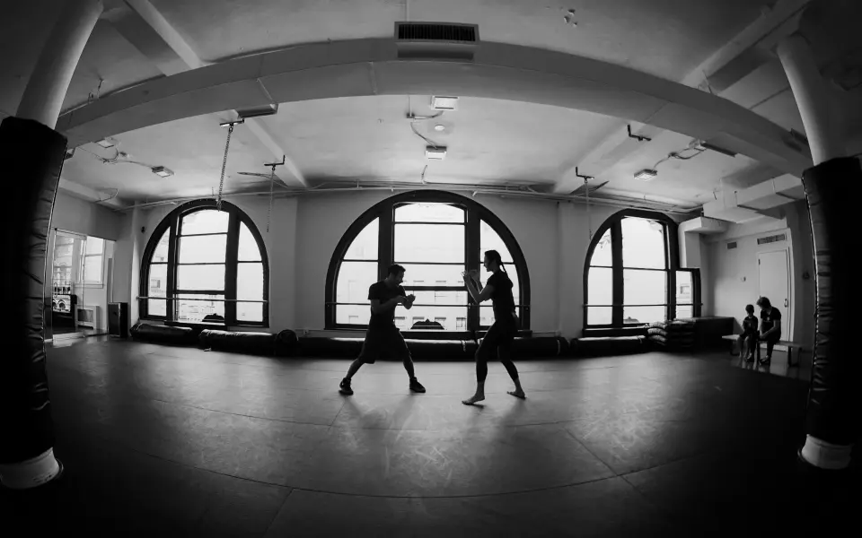 Krav Maga Experts training