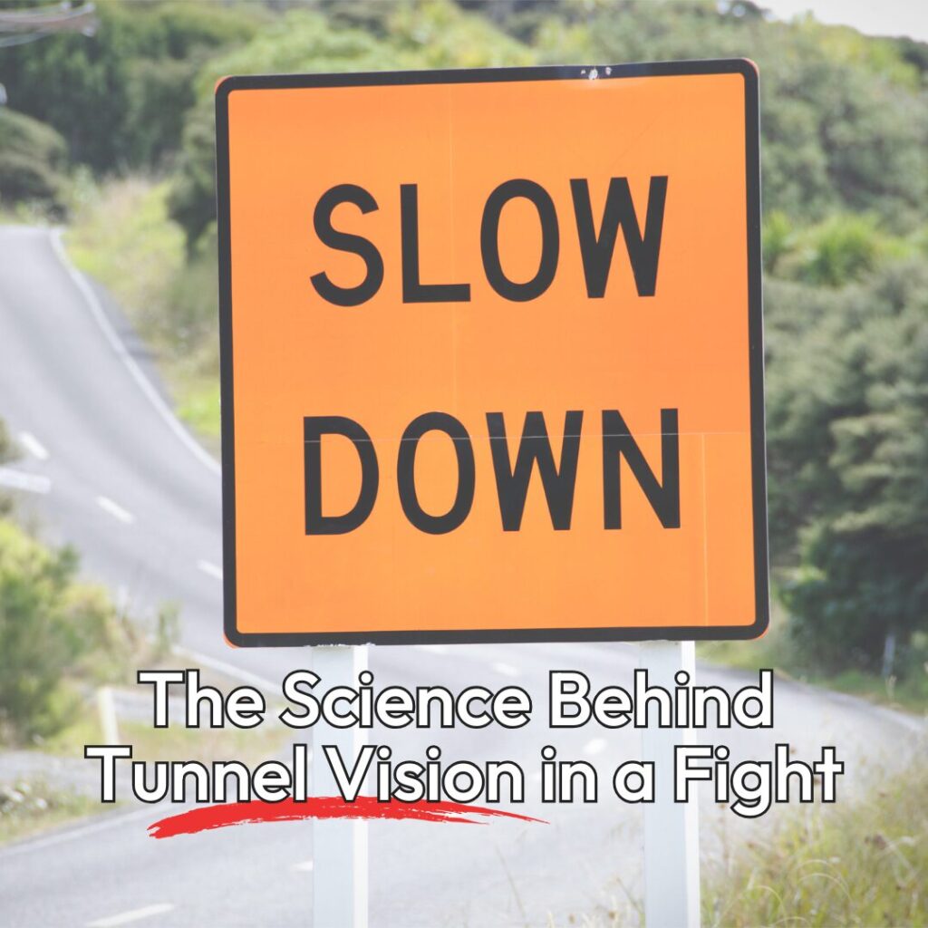 Why Time Slows Down in a Fight