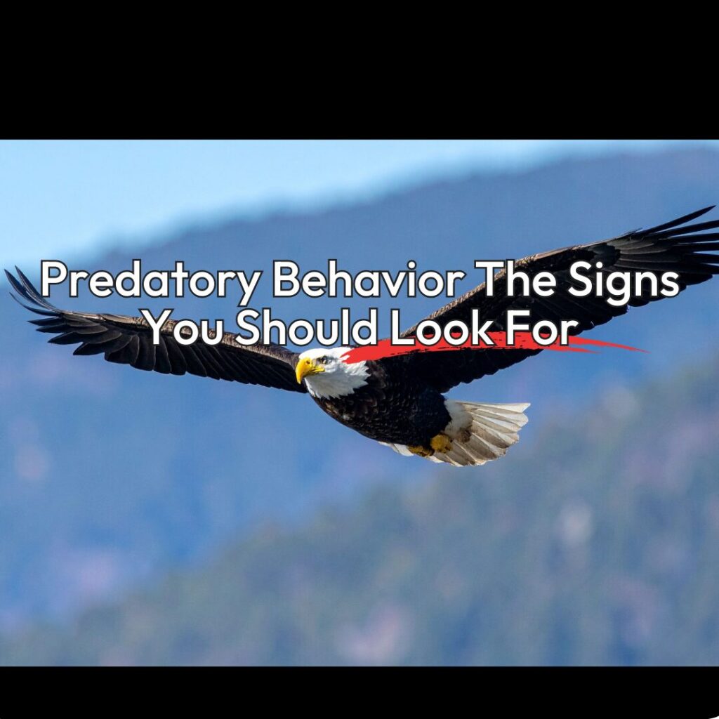 How to Recognize Predatory Behavior